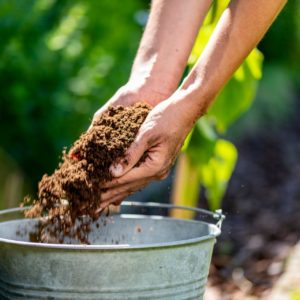 Verzorging & Accessoires