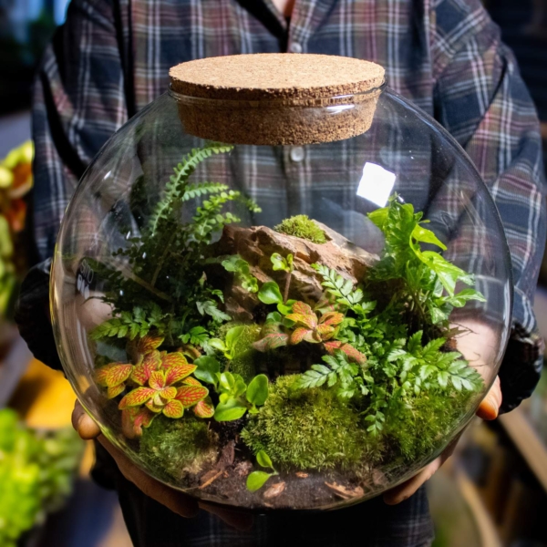 terrarium