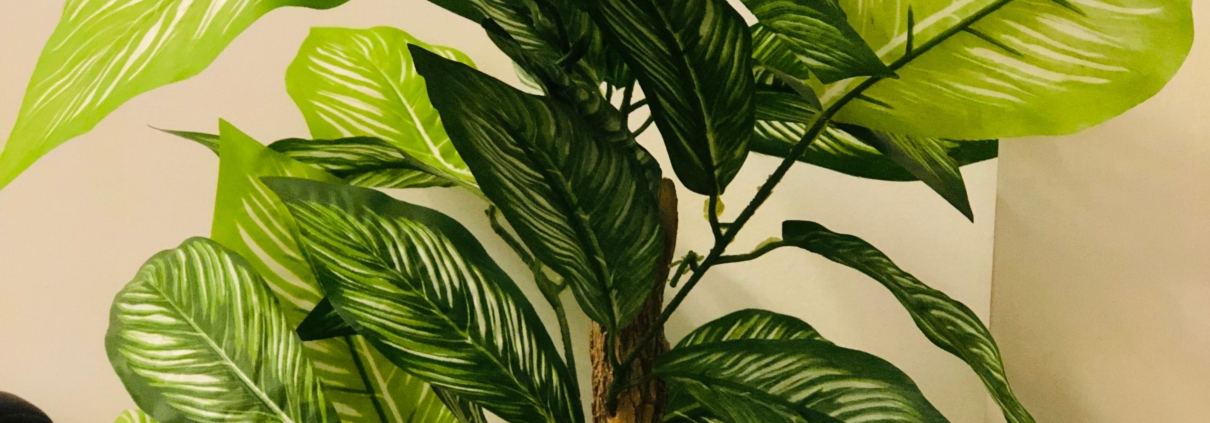 plantenbloemenshop.nl-categorie-kunstplanten
