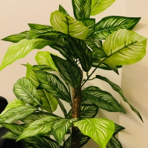 Kunstplanten